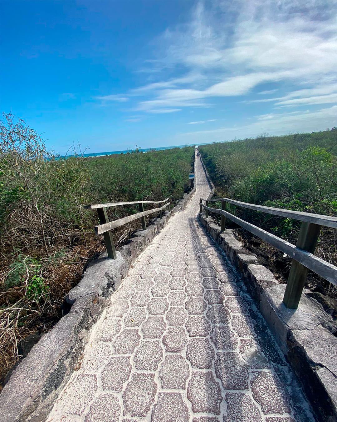 Paisaje de la parte alta de Santa Cruz