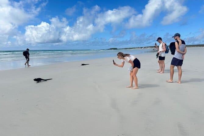 Playa Tortuga Bay con iguanas marinas en la orilla