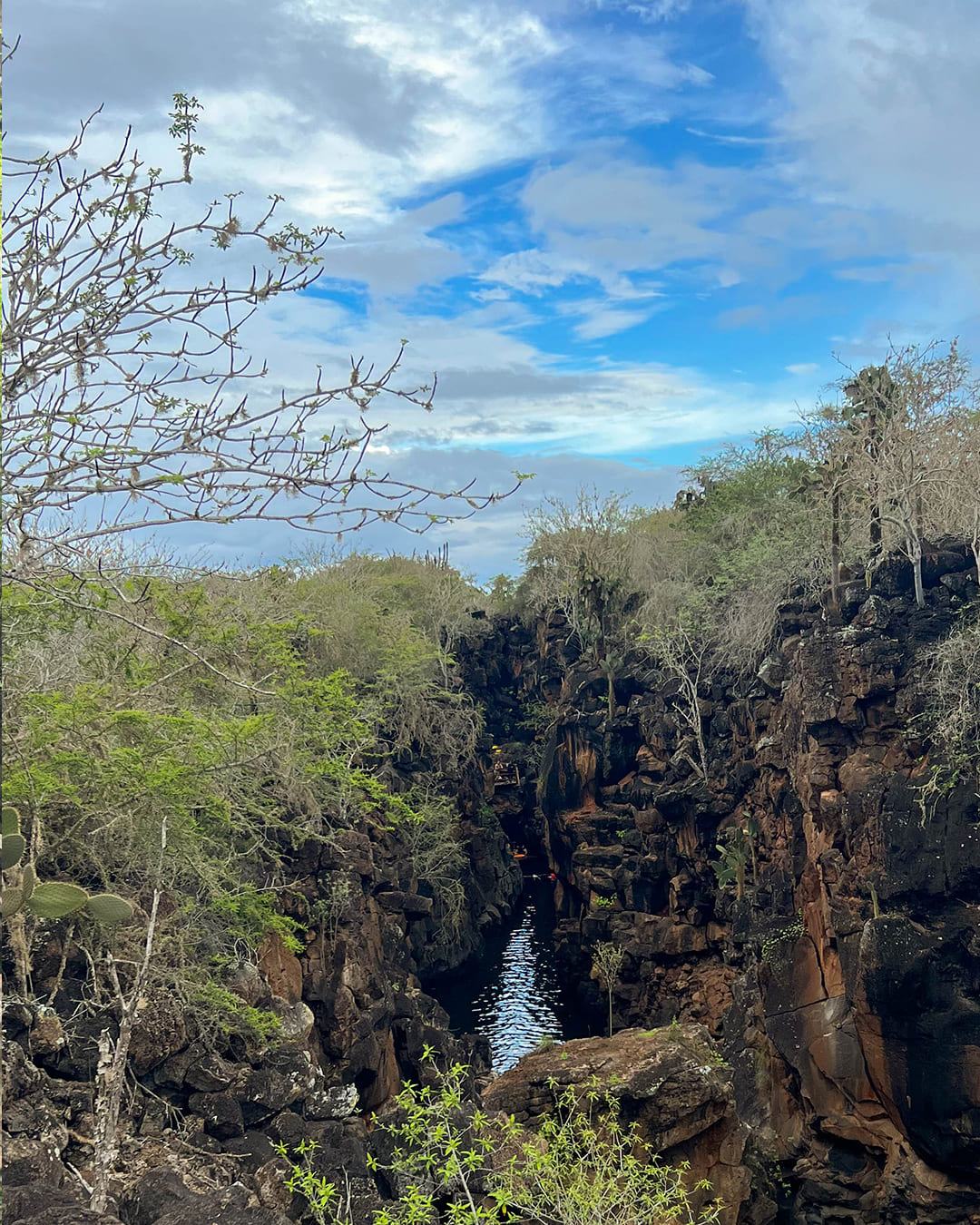Vista de Santa Cruz, Galápagos